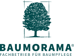 BAUMORAMA Logo